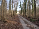 Maison_forestiere_de_la_Faisanderie_d_Apremont_-_Sortie_222_-_Ndeg_075.jpg
